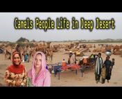 Village Life Punjab