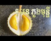Thida Durian