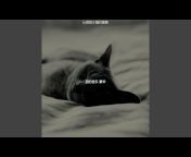 猫的音乐 豪华 - Topic