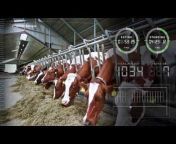 Nedap Livestock Management