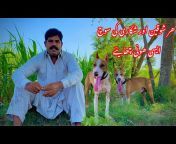 Punjabi Shok Vlogs