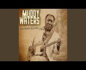 Muddy Waters - Topic
