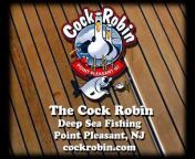 cockrobinfishing