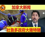 CCLiving加拿大华人生活资讯
