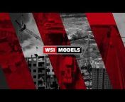 WSI Models