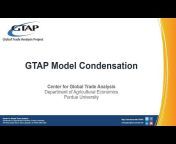 Global Trade Analysis Project - GTAP