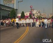UCLA Film u0026 Television Archive
