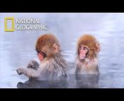 National Geographic Korea - English ver.