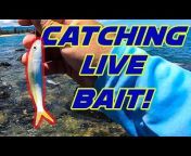 RAH Fishing