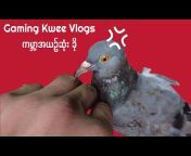 Gaming Kwee Vlogs