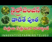 innovative farming telugu