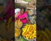 Indian Food Vlogs