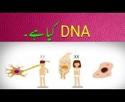 Urdu Science Channel