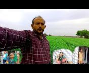 Jitesh Bhavna Vlogs