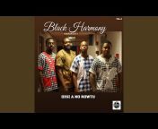 Black Harmony - Topic