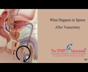 Vasectomy Specialist Clinics of Chicago
