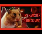 TinyHamsterOfficial