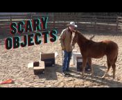 Herm Gailey: A Lifetime with Horses