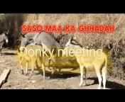 donky meeting