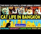 Bangkok Pat