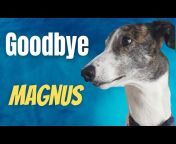 Magnus Greyhound