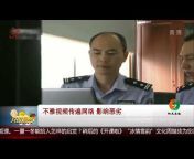 黑龙江网络广播电视台 China Heilongjiang Tv Official Channel