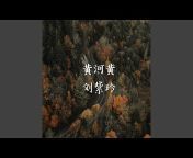 刘紫玲 - Topic