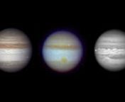 Jupiter’s enormous size and gravitational attraction increase its vulnerability to comet and asteroid impacts. But collisions flare and fade quickly; unless they’re viewed at the moment of impact, they won’t be seen at all. Thanks to the efforts of amateur astronomers, dramatic impacts on Jupiter were recently captured on video, one of many important scientific contributions made by backyard stargazers.nnScience Bulletins is a production of the National Center for Science Literacy, Educati