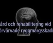 Neuroguiden om RyggmärgsskadornVad händer i nervsystemet?n- Sakkunnig: med. doktor Claes Hultling verkställande direktör Stiftelsen spinalisnnRyggmärgen är en förlängning av hjärnstammennRyggmärgen bildar tillsammans med hjärnan det centrala nervsystemet. Ryggmärgen är en direkt fortsättning av förlängda märgen i hjärnstammen. Vid sidan av kranialnerverna är det ryggmärgen som förbinder hjärnan med det perifera nervsystemet. Dessutom är ryggmärgen en viktig omkopplingssta