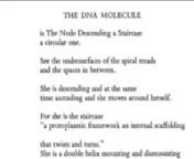 I hope you enjoy this Caedmon recording of the poet&#39;s exact reading of her poem as much as I do.nnTHE DNA MOLECULEnnis The Nude Descending a Staircasena circular one.nnSee the undersurfaces of the spiral treadsnand the spaces in between.nnShe is descending and at the samentime ascending and she moves around herself.nnFor she is the staircasen“a protoplasmic framework an internal scaffoldingnnthat twists and turns.”nShe is a double helix mountain and dismountingnnaround the swivel of her imag