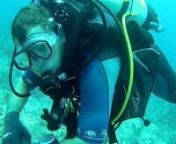 This is our video diary of a Scuba Diving trip to Pompano Beach, South Florida. We mostly dove deep wrecks on Open Circuit SCUBA. Tim and Becky Butt who own Kelowna Divers in Kelowna, BC