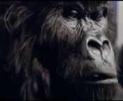 This awesome Cadbury commercial from 2007 was an instant classic. It featured a gorilla playing the drums to “In The Air Tonight” by Phil Collins and is as impressive, funny, and entertaining as anything we’ve ever seen. Great marketing stands out and this commercial certainly stands out.