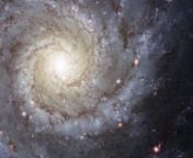 Galaxy pictures: A video showing amazing pictures of galaxies captured by some of the most powerful telescopes. nn*** CreditsMPIfR/ESO/APEX/A.Weiss et al. (Submillimetre); NASA/CXC/CfA/R.Kraft et al. (X-ray).nn0:43 Centaurus A (zoomed central portion): ESO.nn0:48 Antennae Galaxies (NGC 4038/39, Caldwell 60/61): NASA, ESA, and the Hubble Heritage Team (STScI/AURA)-ESA/Hubble Collaboration; B. Whitmore (STScI).nn0:53 Arp 273: NASA, ESA and the Hubble Heritage Team.nn0:58 ESO 510-G13, a warped sp