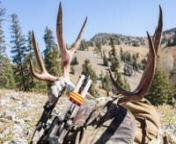 Region G follows long time hunting partners Kody and Steve on an eight day bowhunting trip throughout one of the west’s premier deer hunting areas, deep in Wyoming’s dry high country.