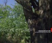 Documentaire 1x52&#39;nDiffuseur : France 2 (Case Grandeurs Nature)nRéalisation : Pascal Cardeilhac