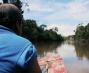 La Amazonía Peruana es una de las zonas que alberga mayor biodiversidad del mundo, y sin embargo la inversión en investigación para conocer más a fondo lo que esconde esta zona del país aun no está al nivel de lo requerido. La Universidad Científica del Perú ha asumido el retode conservar más de 10 mil hectáreas de bosque ubicados en la zona alta de la cuenca del río Itaya, a unas siete horas de la ciudad de Iquitos. Allí se busca que los estudiantes y profesores de la universidad