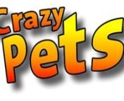 Nun sind alle 3 Prototypen der CrazyPets zu sehen. Die 2 Katzen Charly und Simon und der AngryDog Beisser. Nur weiß keiner, wer da wem jagd.