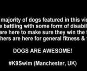 Dogs are awesome 2015 K9 Swim Manchester, clips from a day filmed at the largest canine hydrotherapy centre in the North-West called K9 Swim!nnwww.K9Swim.com