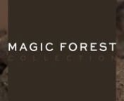 Lladró relaunches what was its very first foray into the world of jewelry, Magic Forest, created by the celebrated designer Bodo Sperlein.nnThe pieces in the Magic Forest collection reinterpret existing fragments of sculptures to give them a new life.nnnMore info at https://bit.ly/MAGICFOREST_COLLECTION