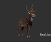 Chital Stag, that I sculpted and textured in Zbrush. The fur was created in Zbrush using fibermesh.nFinal Render was captured in Zbrush.nnThis was the final project for my college degree on Animation and Digital Media.