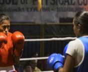 Three Indian girls - two Muslim, one Hindu - battle social and financial pressure as they pursue their dream of becoming champion boxers.nnOfficial Selection 2017: Kansas International Film Festival, Tallgrass Film Festival, Cambridge Film Festival, Vancouver Asian Film Festival, Newburyport Documentary Festival, Kolkata International Film Festival