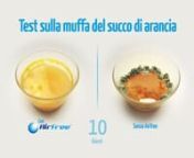 Test sulla muffa del succo di arancia (IT) from muffa