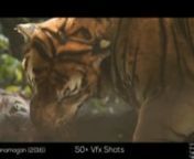 &#39;Showreel 2k16 &#124; Movie - Vanamagan &#124;&#39;nnMovie - Vanamagan 2016nnDelivered more than 50+ shots in entire movie including leaves interaction, ground dust interaction, tiger fur simulation and tiger skin simulation. Whole project took more than 3+ month to deliver all 50+ shots including complex shot.nnAll together delivered countless shots in different assets/elements it&#39;s hard to say that this are the exact shots which I have done. Because of less visual material availability of exact shota I am p