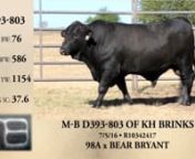 D393-803 - Martin-Bruni Cattle Co., Spring 2018 Brangus Bull Sale from d393