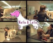 This promo was so much fun to make. My very own Cosmo even made an appearance! I highly suggest Nails And Tails for all your dog grooming needs.nnNails &amp; Tailsn3415 Sweet Air Rd, Phoenix, MD 21131n443-797-5400