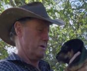 &#39;Raised for Rewards&#39; is a sheepdog film that follows a dog through his life. Produced in New Zealand over a period of one year by Varun Alagar Surendran - this film brings out the essence of dog training.n