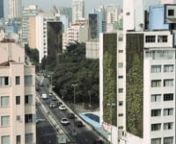 Em 2013, o Movimento 90º idealizou a criação do primeiro corredor verde do mundo.n3 anos depois, o que era um manifesto em busca de cidades mais verdes se concretizou através do Decreto 55.994 e em Setembro de 2016, o m.90º inaugura o Corredor Verde do Minhocão, em São Paulo.nProporcionando 5000 m² de área verde em jardins verticais em escala urbana, o Corredor Verde conta com mais de 90 mil mudas de plantas, 10 projetos artísticos e inúmeros benefícios, reciclando 62.5 toneladas de