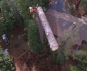 This video shows Sonora&#39;s Mother Lode Tree Service performing removals for a home owner near Mi Wuk, California near Yoesmite National Park. Call today for a removal 209-890-5438 and feel free to share.