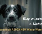 Wrap an animal in kindness and become an RSPCA NSW Winter Warmer: http://rspcansw.org/2r34FG4nnWinter is the most challenging time at the RSPCA. More than 9,000 animals in need of urgent care and protection will come through our doors over the next few months.nnRuben, Penny and Athena are just three animals who turned to us in their darkest hour. Your donation will keep our shelter doors open so we can continue to care for those who need us. You will be helping to provide round-the-clock medical