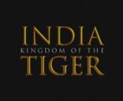 Starring: Christopher Heyerdahl, Smriti Mishra.nnFollow in the footsteps of Jim Corbett, the famed English hunter-naturalist, as he races to save an Indian village from the terror of a man-eating tiger. Along his journey he expresses his passion for tigers and explores the issues of tiger conservation. The film is also a historical epic depicting India from 1910 to the modern era. Starring critically acclaimed Indian actress Smriti Mishra and Christopher Heyerdahi.